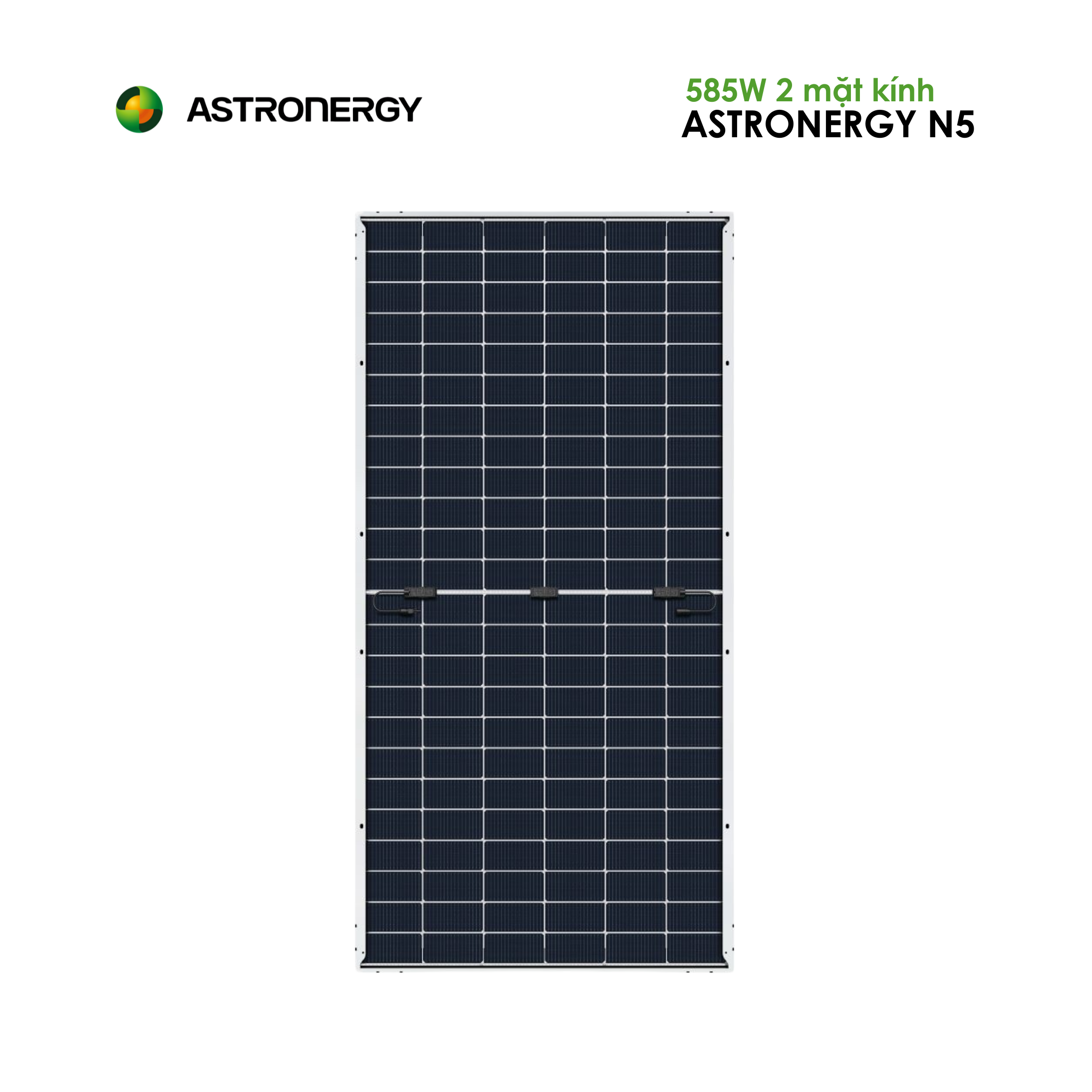 1 - 2025-11-19T095253.024